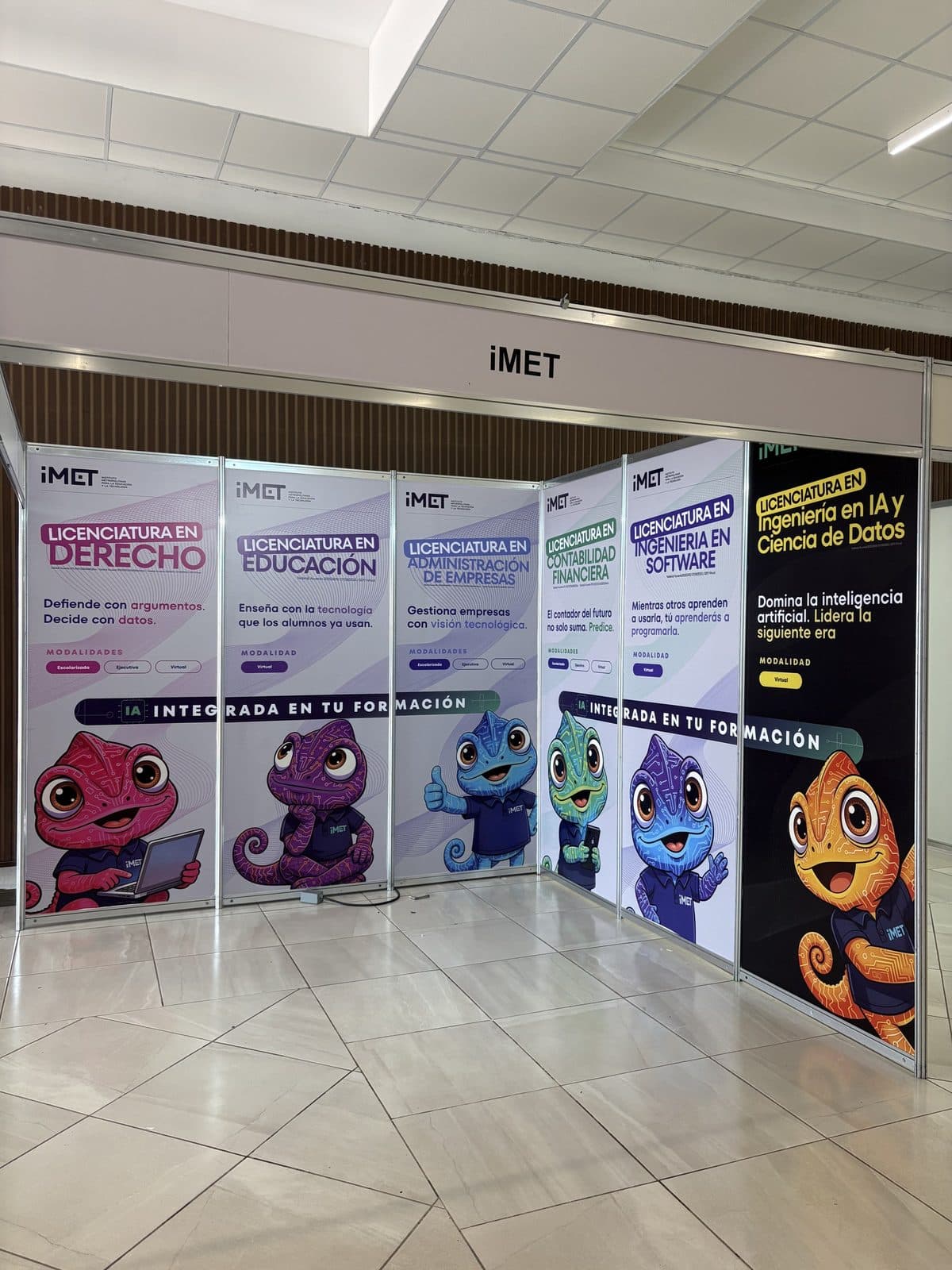 Stand para expo